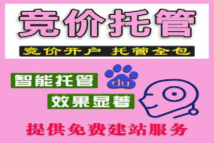 百度推广代运营案例：案例分享：传统行业逆袭之路